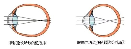 �ӹ�Ļ���֪ʶ(ͼ�İ�)