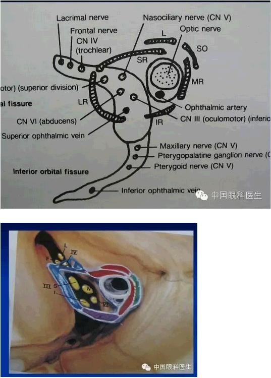 �ۿ��Ľ��ʣ���ȫ���ͼ����⣩