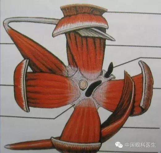 �ۿ��Ľ��ʣ���ȫ���ͼ����⣩