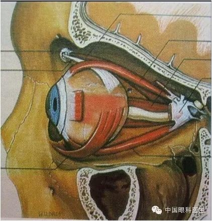 �ۿ��Ľ��ʣ���ȫ���ͼ����⣩