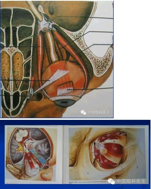 �ۿ��Ľ��ʣ���ȫ���ͼ����⣩