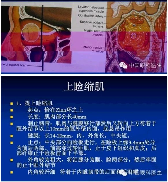 �ۿ��Ľ��ʣ���ȫ���ͼ����⣩