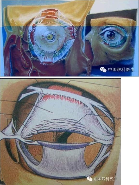 �ۿ��Ľ��ʣ���ȫ���ͼ����⣩