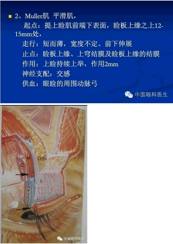 �ۿ��Ľ��ʣ���ȫ���ͼ����⣩