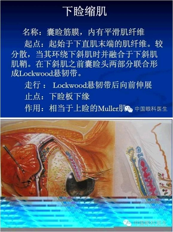 �ۿ��Ľ��ʣ���ȫ���ͼ����⣩