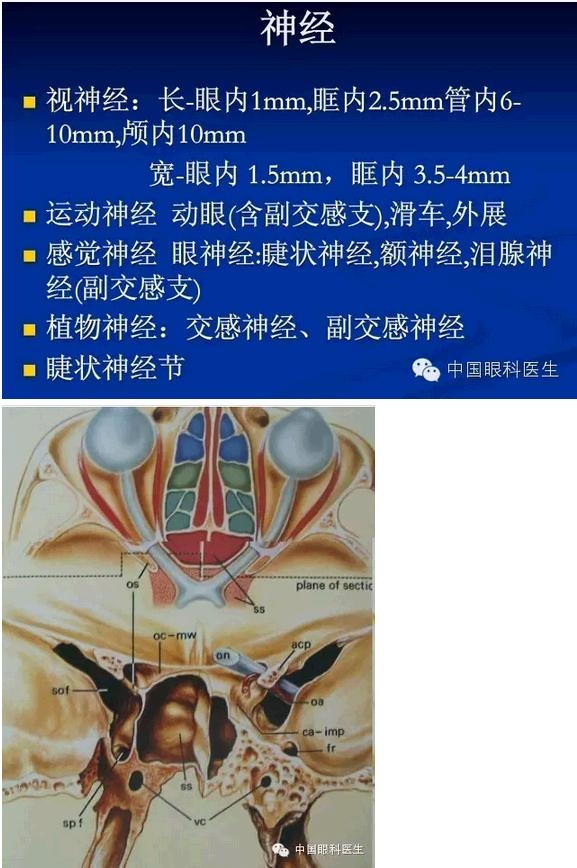 �ۿ��Ľ��ʣ���ȫ���ͼ����⣩