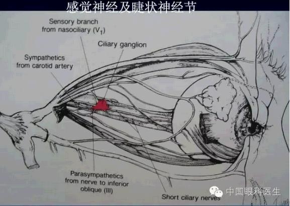 �ۿ��Ľ��ʣ���ȫ���ͼ����⣩