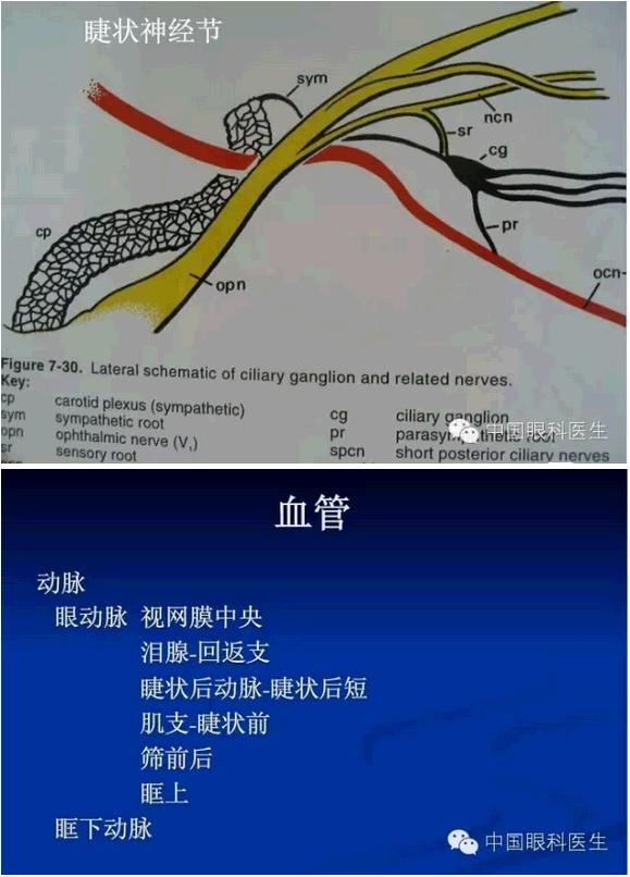 �ۿ��Ľ��ʣ���ȫ���ͼ����⣩