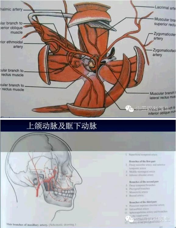 �ۿ��Ľ��ʣ���ȫ���ͼ����⣩