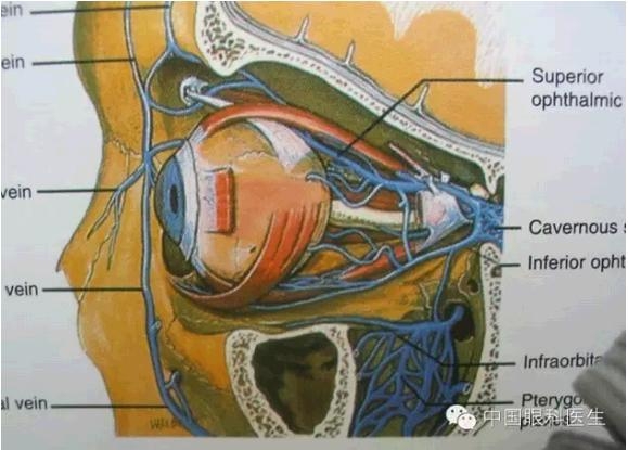 �ۿ��Ľ��ʣ���ȫ���ͼ����⣩