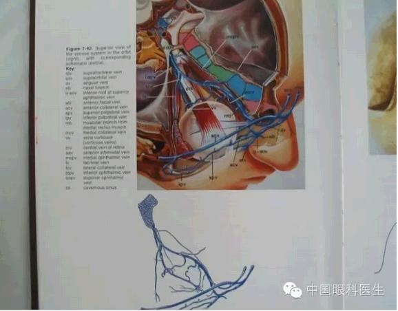 �ۿ��Ľ��ʣ���ȫ���ͼ����⣩