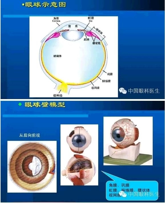 �۲��������ĳ������