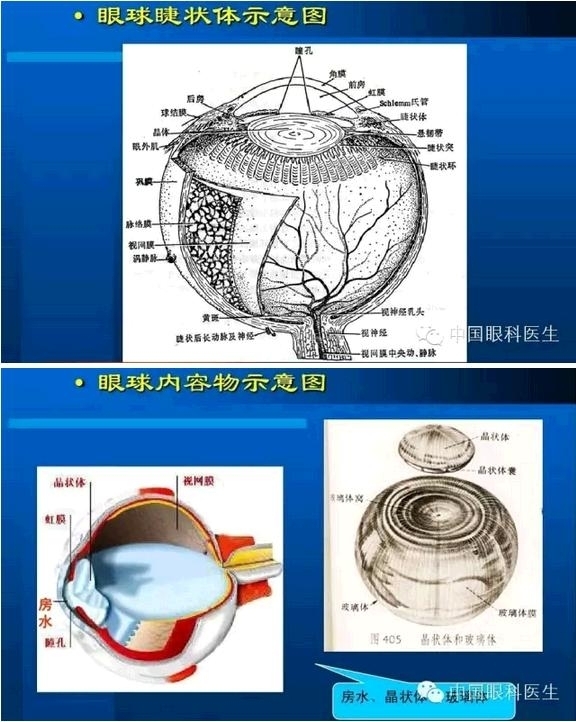 �۲��������ĳ������