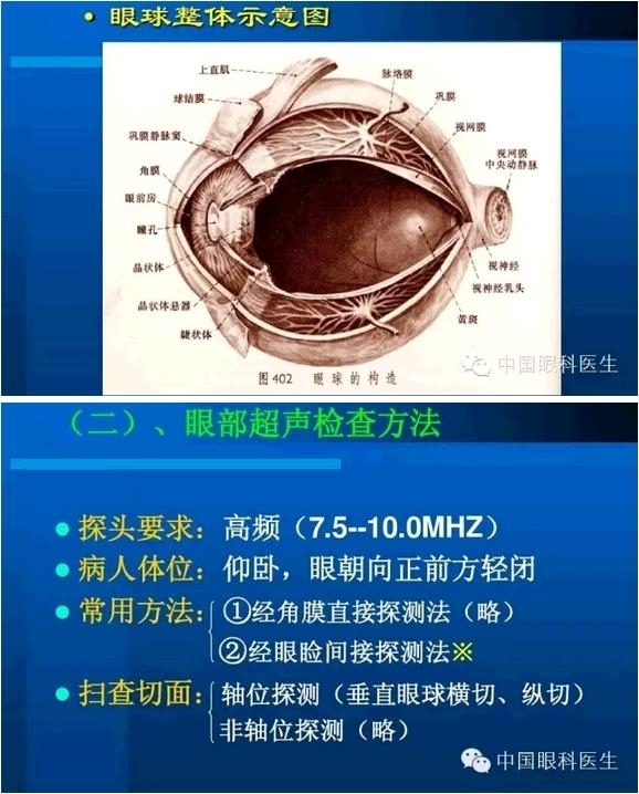 �۲��������ĳ������