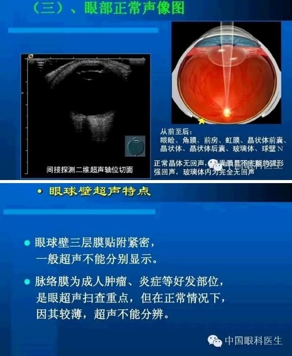 �۲��������ĳ������