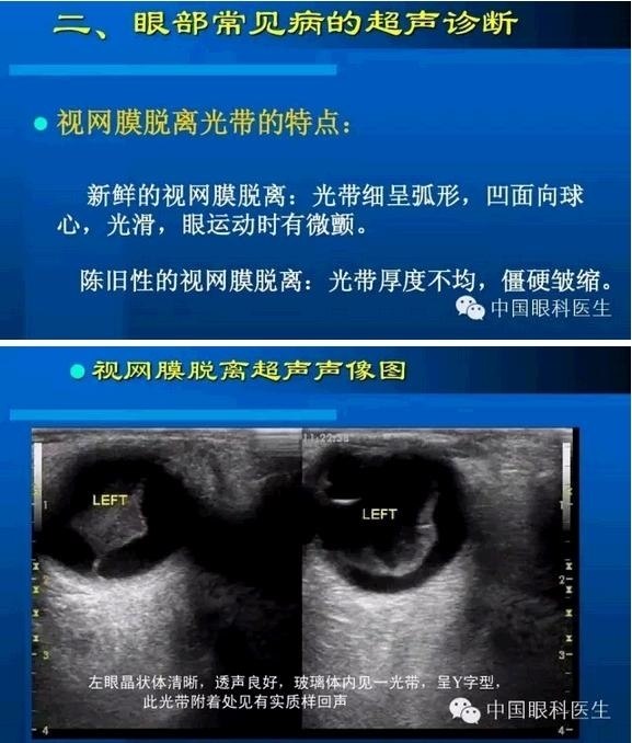 �۲��������ĳ������