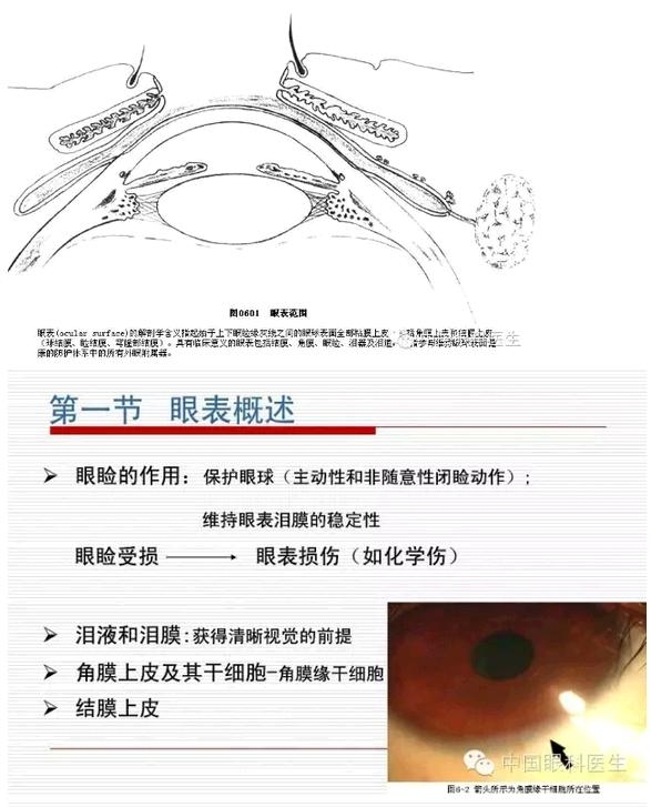 �۱����������������