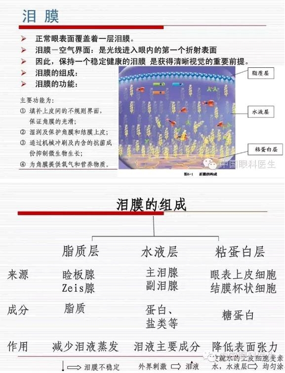 �۱����������������