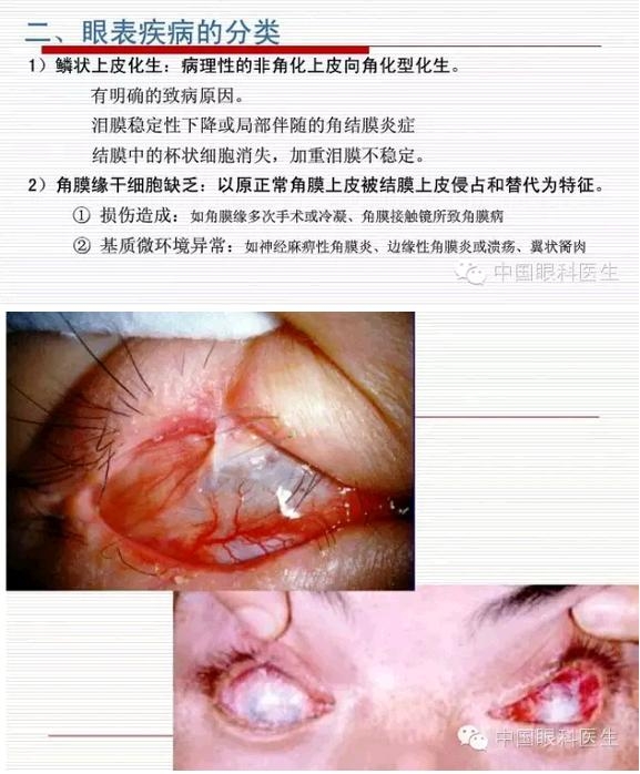 �۱����������������