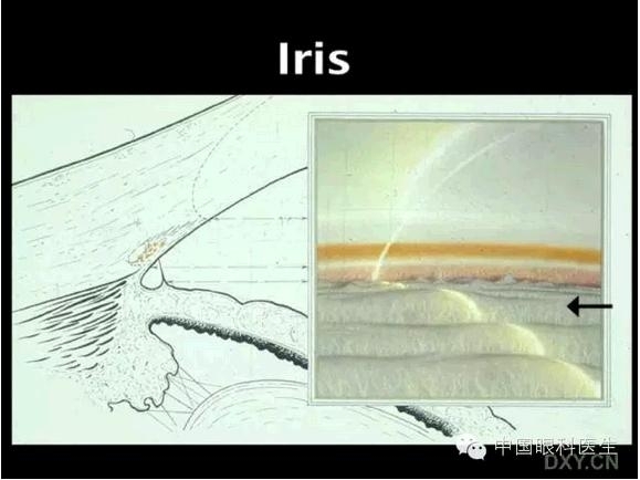 ��ͼ���䡪�����Ǿ��µĽṹ