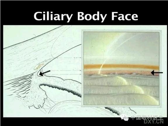 ��ͼ���䡪�����Ǿ��µĽṹ