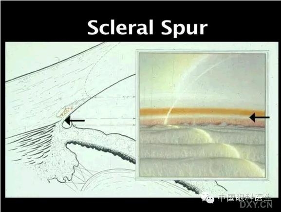 ��ͼ���䡪�����Ǿ��µĽṹ