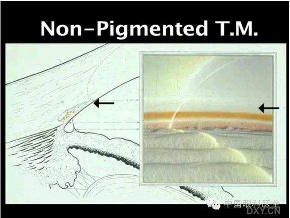 ��ͼ���䡪�����Ǿ��µĽṹ