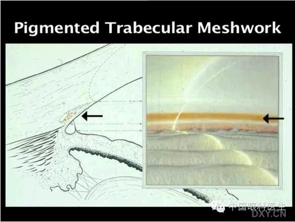 ��ͼ���䡪�����Ǿ��µĽṹ