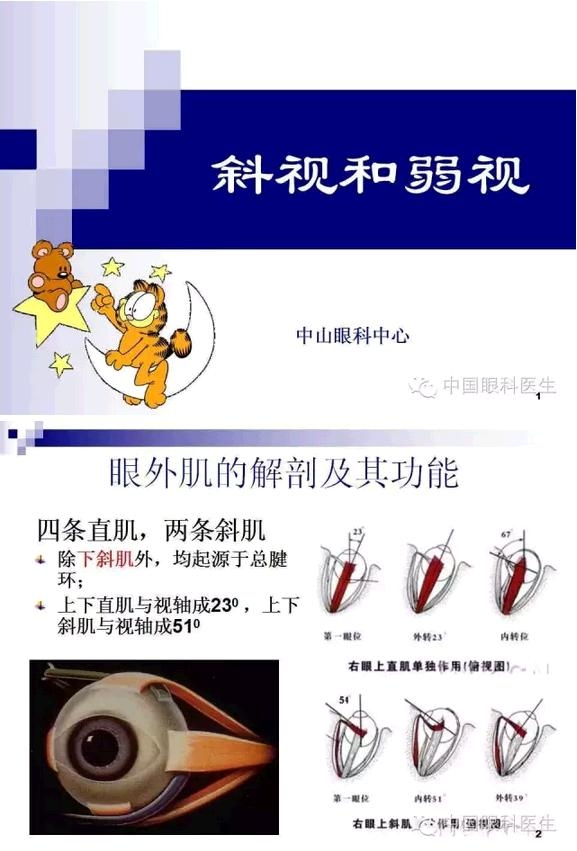 б�������ӵļ�顢��ϡ�����