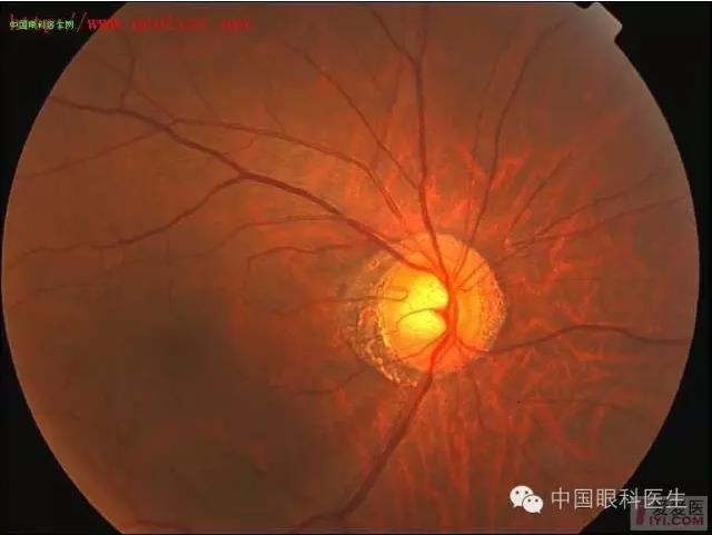 �����������۵ײ�ͼƬ��������ѧϰ�������Ĳ���ͼƬ��