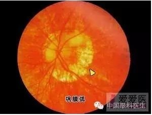 �����������۵ײ�ͼƬ��������ѧϰ�������Ĳ���ͼƬ��