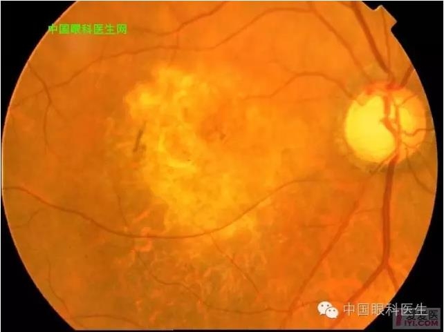 �����������۵ײ�ͼƬ��������ѧϰ�������Ĳ���ͼƬ��