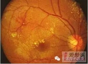 �����������۵ײ�ͼƬ��������ѧϰ�������Ĳ���ͼƬ��