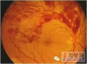 �����������۵ײ�ͼƬ��������ѧϰ�������Ĳ���ͼƬ��