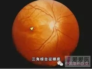 �����������۵ײ�ͼƬ��������ѧϰ�������Ĳ���ͼƬ��