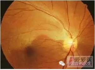 �����������۵ײ�ͼƬ��������ѧϰ�������Ĳ���ͼƬ��