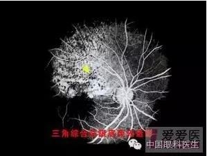 �����������۵ײ�ͼƬ��������ѧϰ�������Ĳ���ͼƬ��