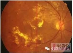 �����������۵ײ�ͼƬ��������ѧϰ�������Ĳ���ͼƬ��