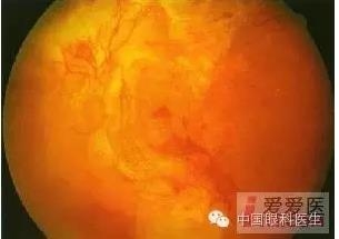 �����������۵ײ�ͼƬ��������ѧϰ�������Ĳ���ͼƬ��