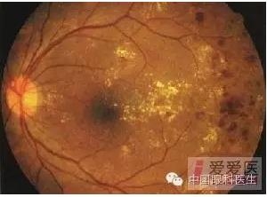 �����������۵ײ�ͼƬ��������ѧϰ�������Ĳ���ͼƬ��