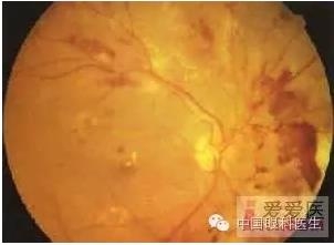 �����������۵ײ�ͼƬ��������ѧϰ�������Ĳ���ͼƬ��