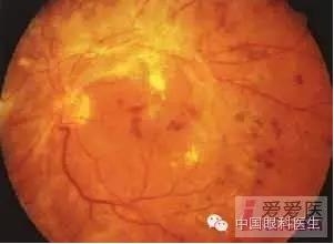 �����������۵ײ�ͼƬ��������ѧϰ�������Ĳ���ͼƬ��