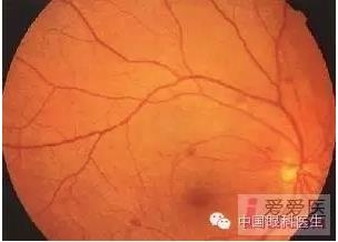 �����������۵ײ�ͼƬ��������ѧϰ�������Ĳ���ͼƬ��