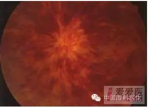 �����������۵ײ�ͼƬ��������ѧϰ�������Ĳ���ͼƬ��