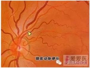 �����������۵ײ�ͼƬ��������ѧϰ�������Ĳ���ͼƬ��