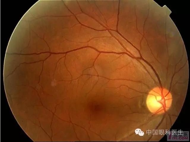 �����������۵ײ�ͼƬ��������ѧϰ�������Ĳ���ͼƬ��