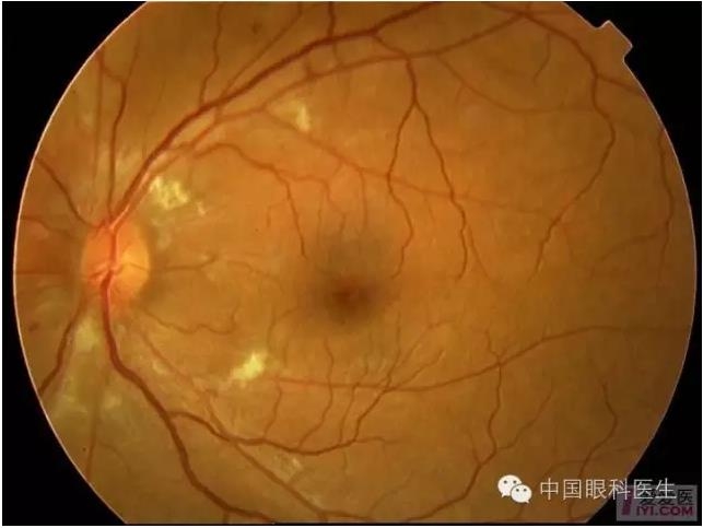 �����������۵ײ�ͼƬ��������ѧϰ�������Ĳ���ͼƬ��