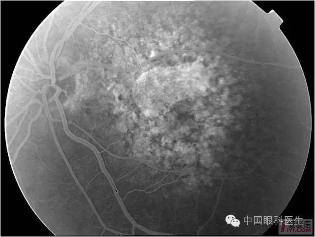 �����������۵ײ�ͼƬ��������ѧϰ�������Ĳ���ͼƬ��