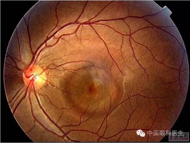 �����������۵ײ�ͼƬ��������ѧϰ�������Ĳ���ͼƬ��