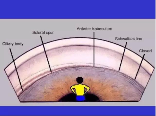 ǰ���Ǿ���鷨��PPT�棩